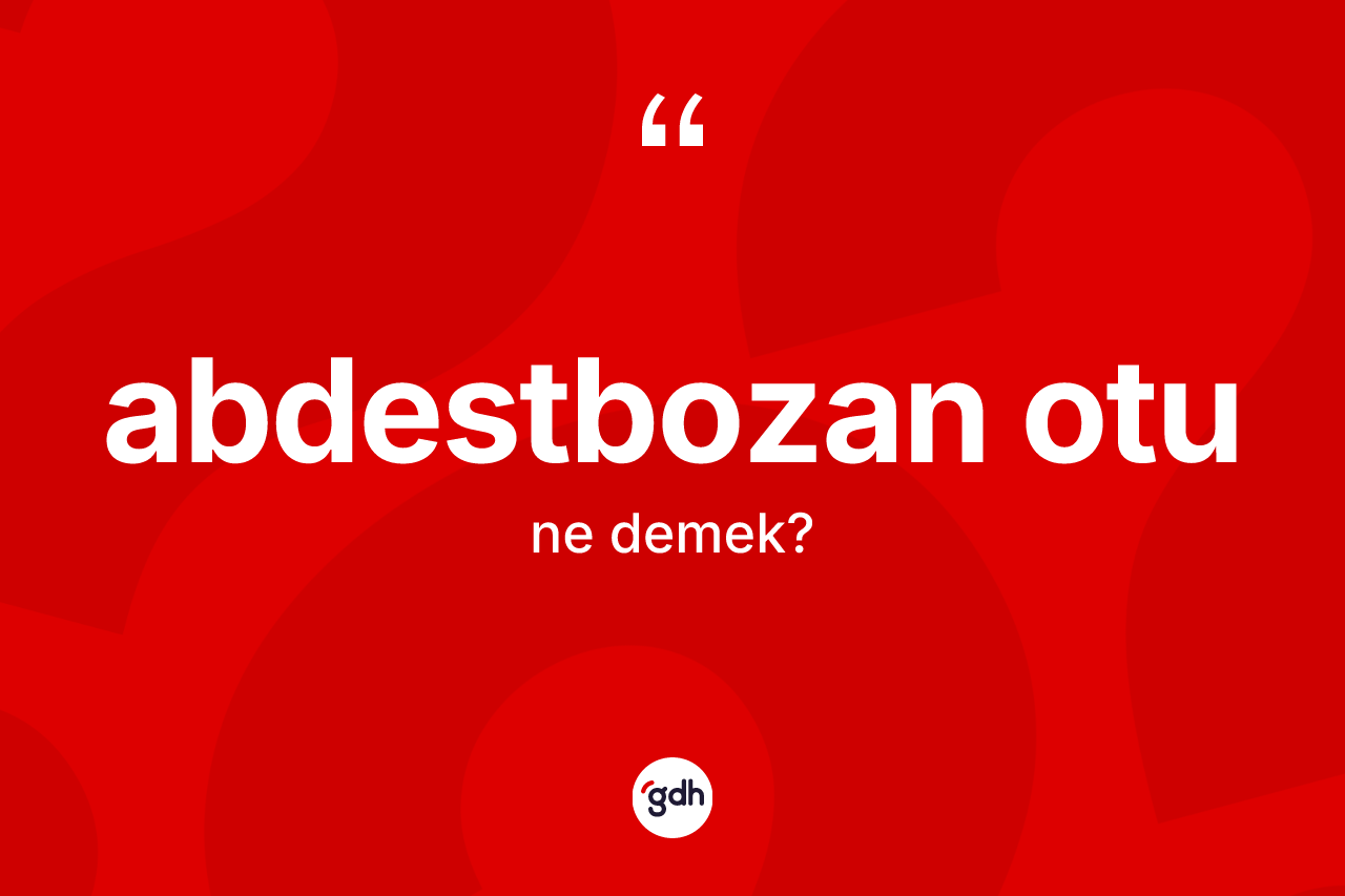 Abdestbozan otu kelimesinin tanımı nedir? Abdestbozan otunun TDK'ya göre anlamı nedir?