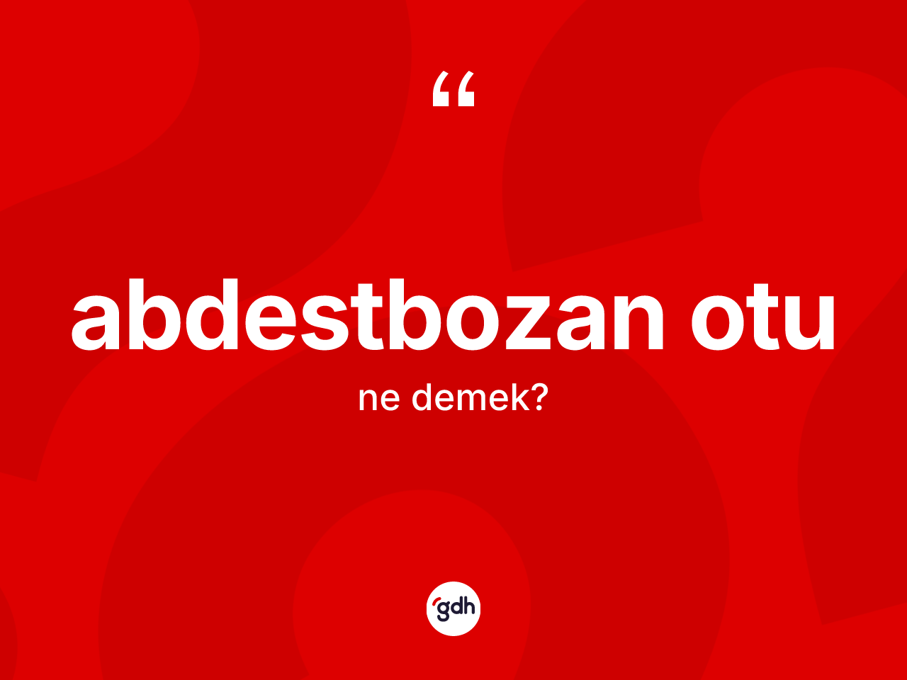 Abdestbozan otu kelimesinin tanımı nedir? Abdestbozan otunun TDK'ya göre anlamı nedir?