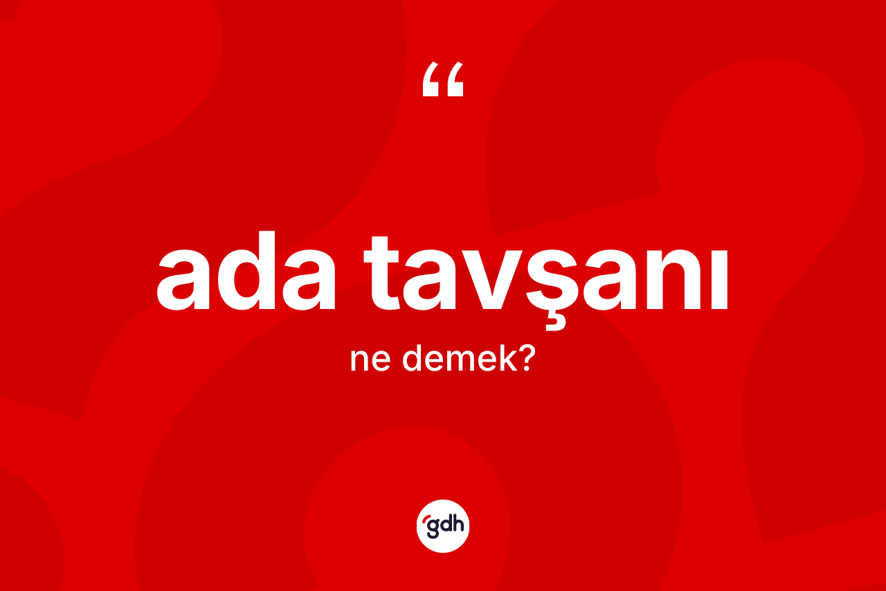Ada tavşanı nedir? Ada tavşanının kısaca tanımı nedir?