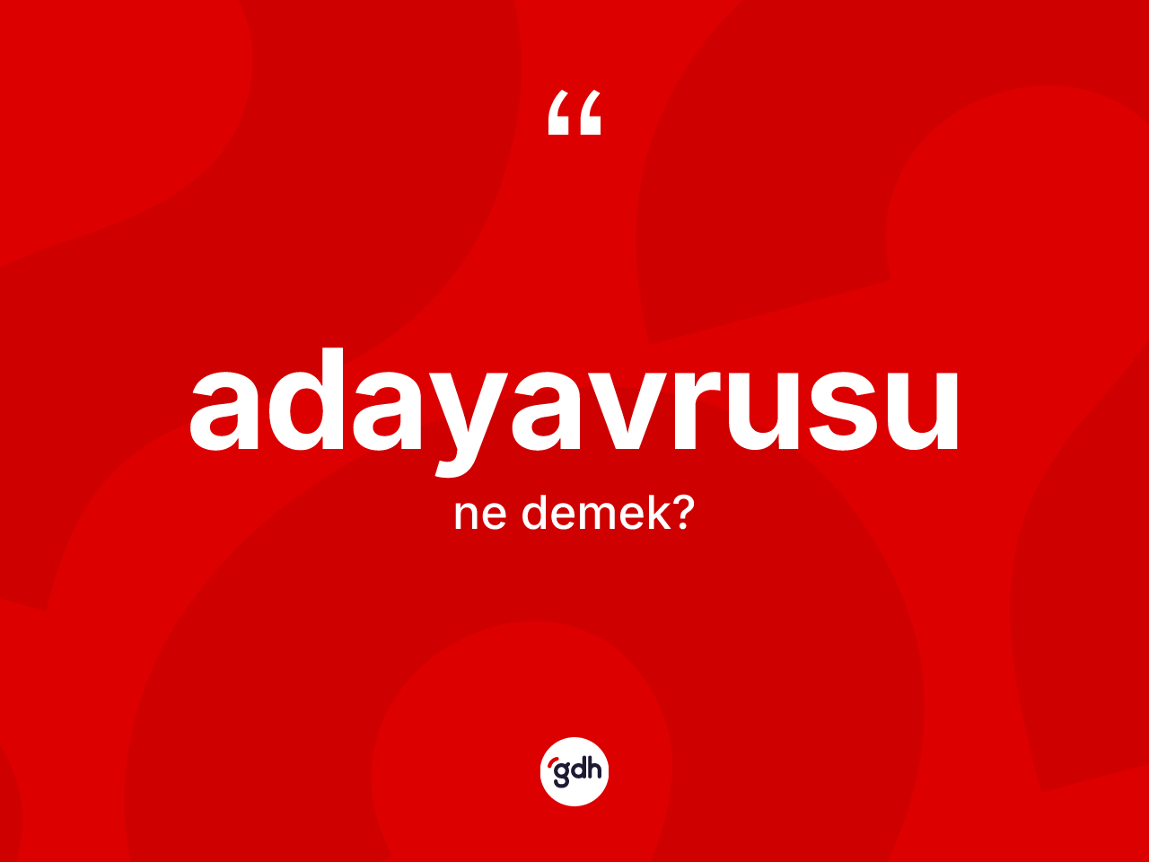 Adayavrusu ne demek? Adayavrusunun sözlükteki anlamı nedir?