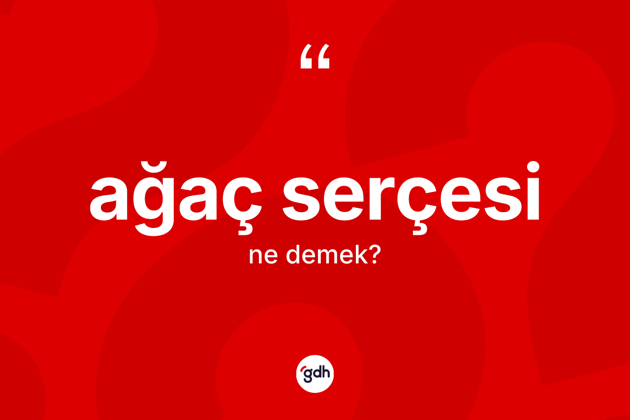 Ağaç serçesi kelimesi ne demek? Ağaç serçesinin TDK'ya göre anlamı nedir?