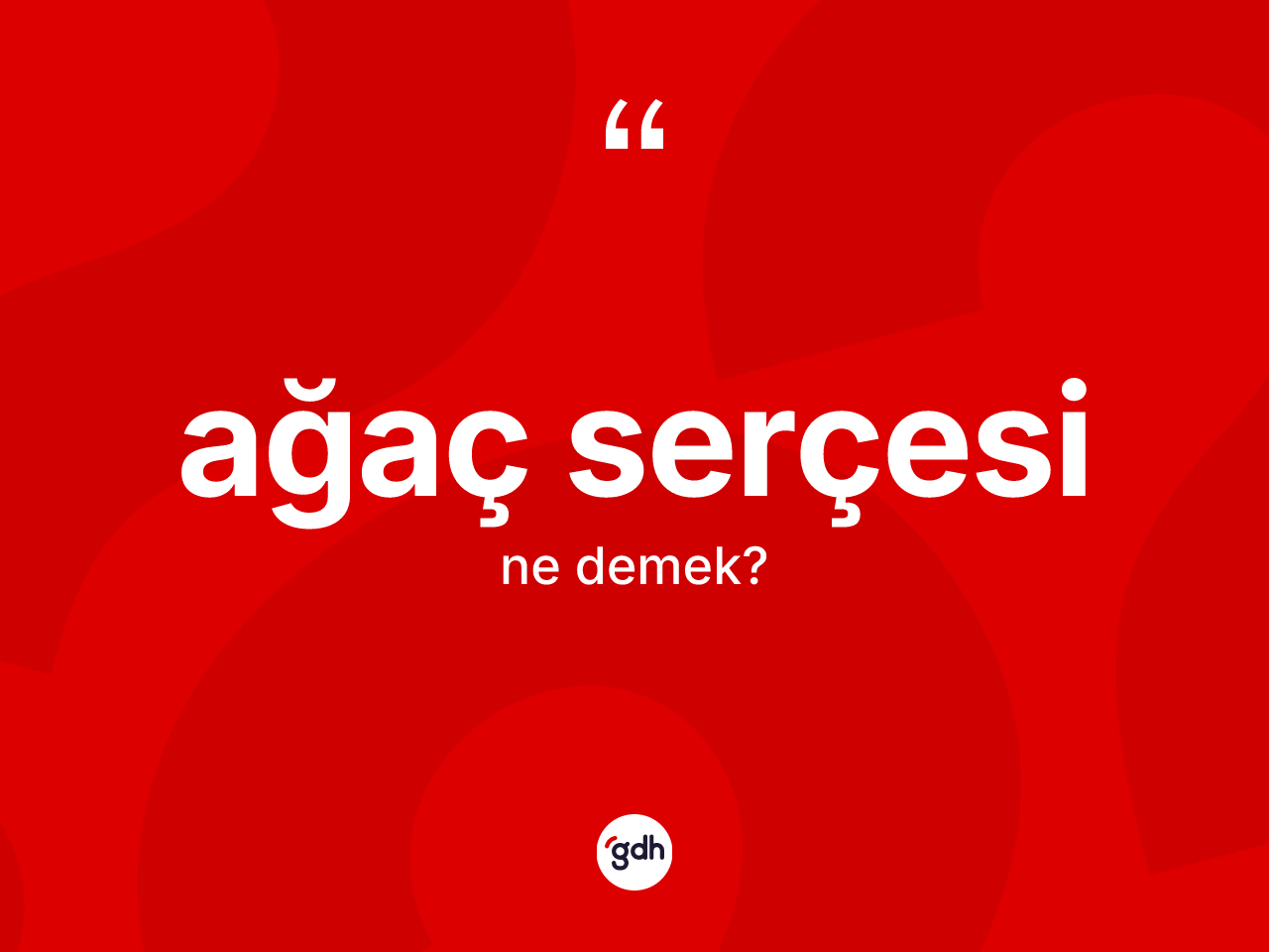 Ağaç serçesi kelimesi ne demek? Ağaç serçesinin TDK'ya göre anlamı nedir?