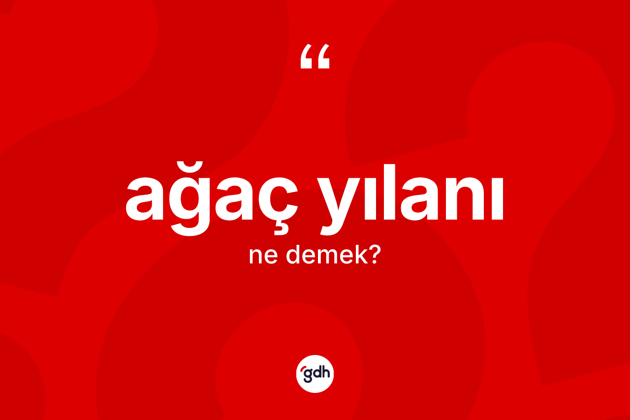 Ağaç yılanı ne demek? Ağaç yılanının TDK'ya göre anlamı nedir?