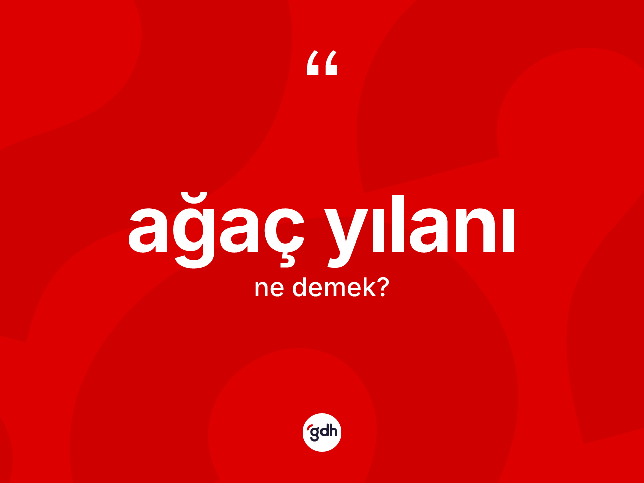 Ağaç yılanı ne demek? Ağaç yılanının TDK'ya göre anlamı nedir?