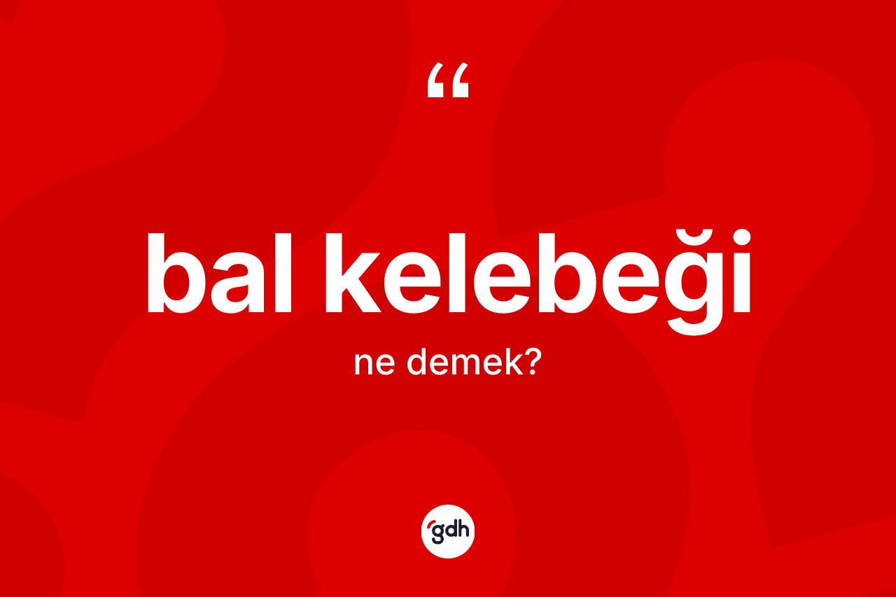 Bal kelebeği kelimesi ne anlama gelir? Bal kelebeğinin TDK'ya göre anlamı nedir?