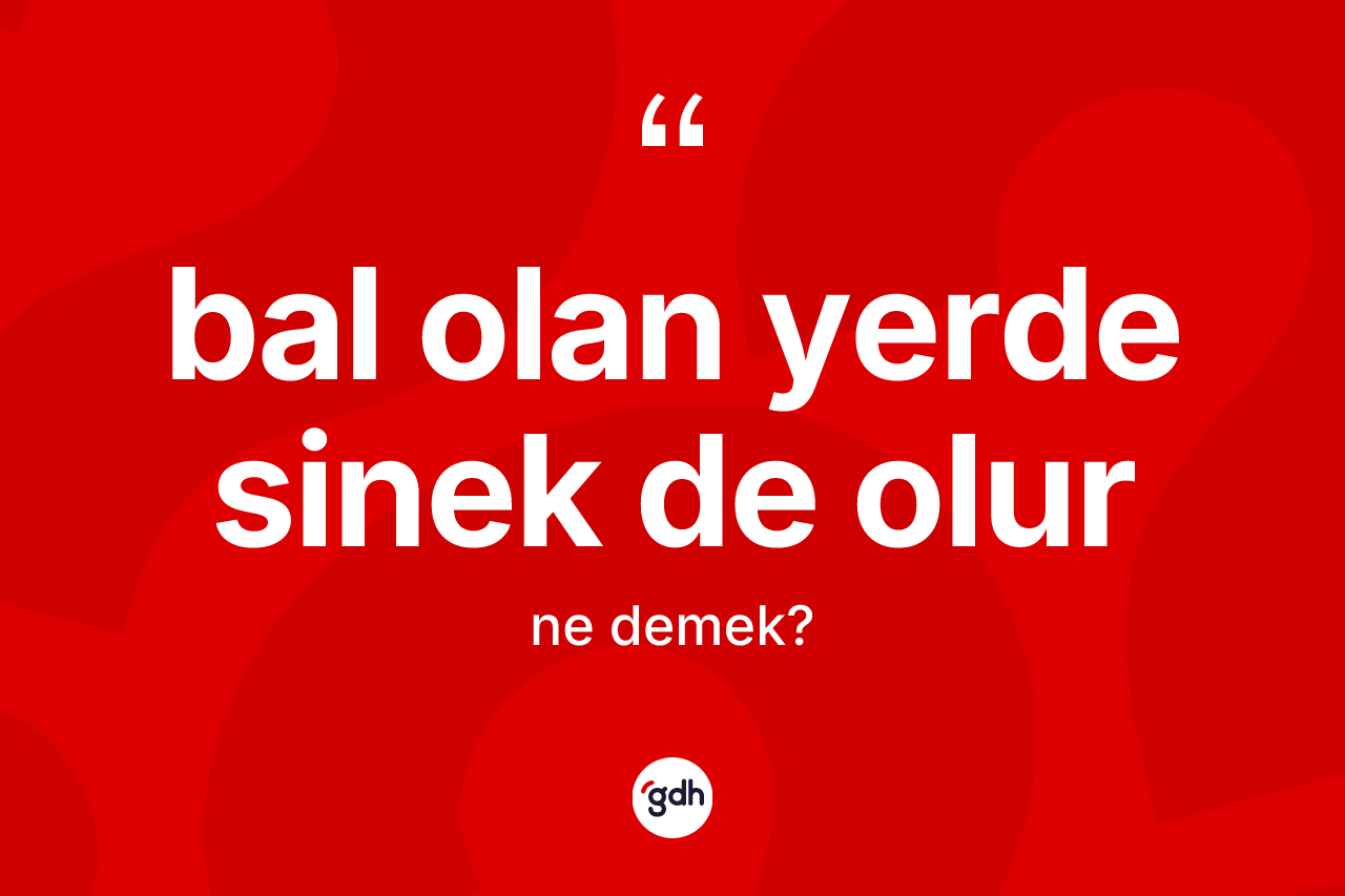 Bal olan yerde sinek de olur ne demek? Bal olan yerde sinek de olur ifadesinin TDK'ya göre açıklaması nedir?