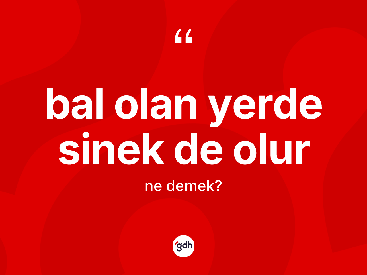 Bal olan yerde sinek de olur ne demek? Bal olan yerde sinek de olur ifadesinin TDK'ya göre açıklaması nedir?