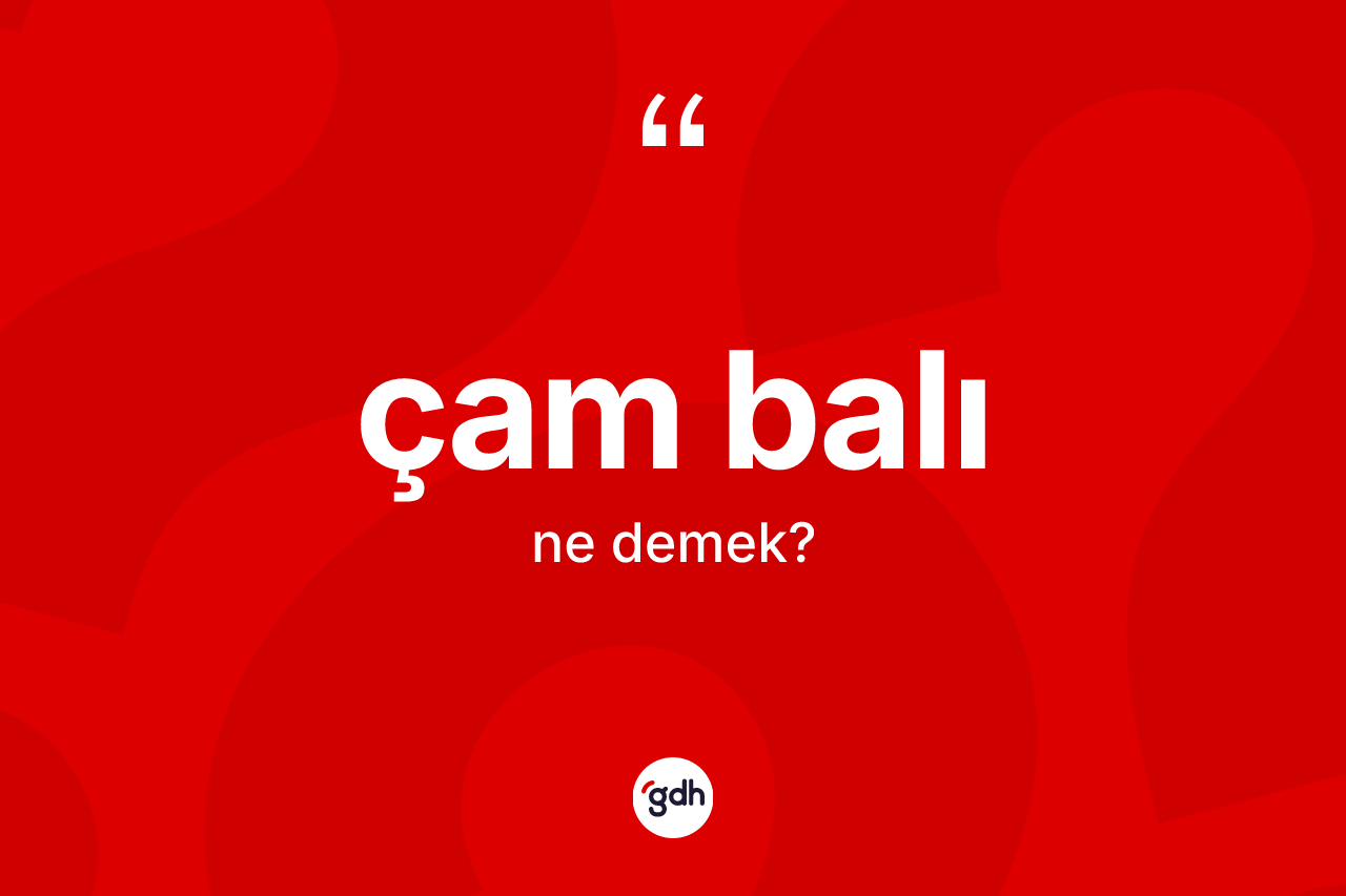 Çam balı kelimesinin sözlükteki tanımı nedir? Çam balının TDK'ya göre anlamı nedir?