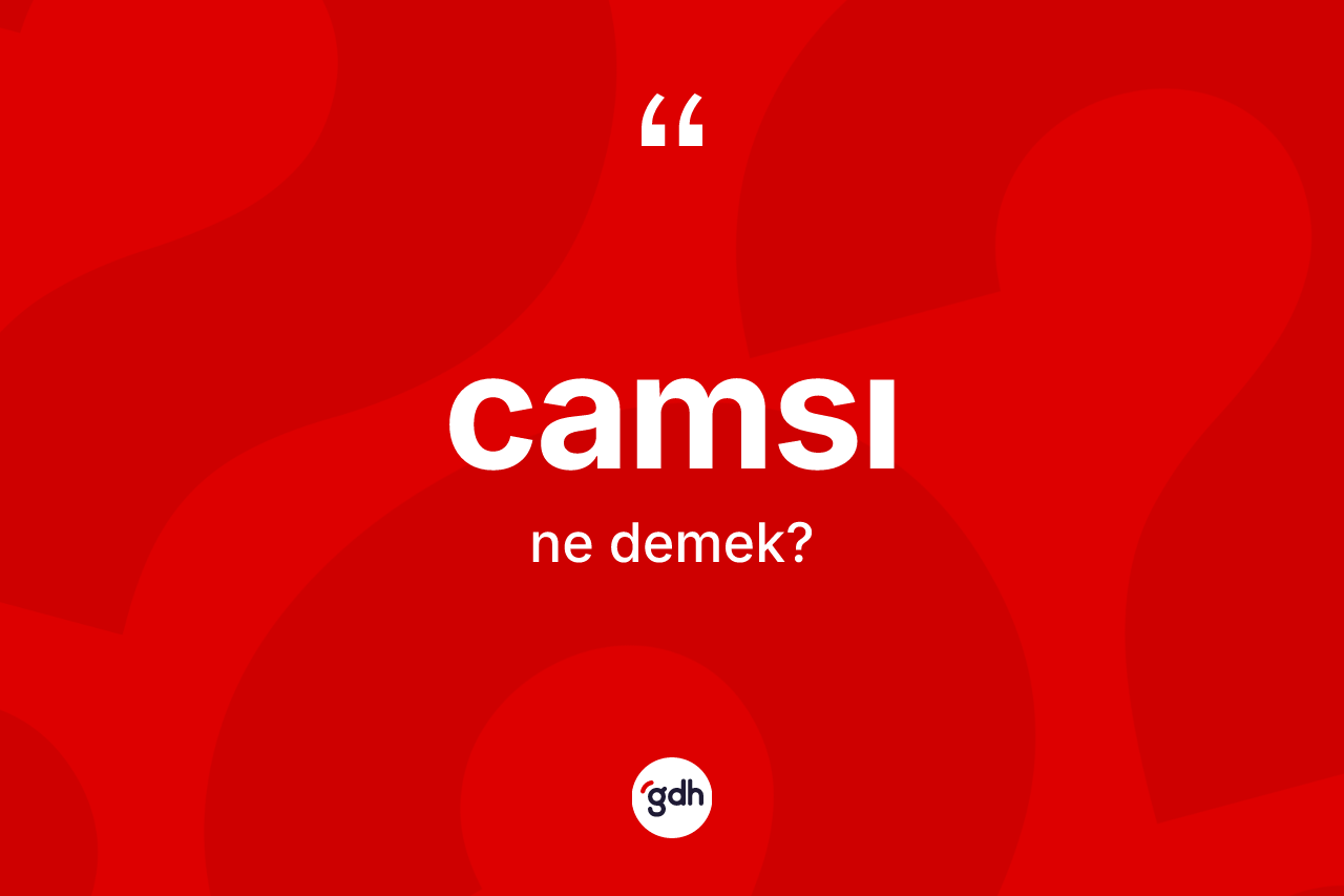 Camsı ne anlama gelir? Camsının sözlükteki anlamı nedir?