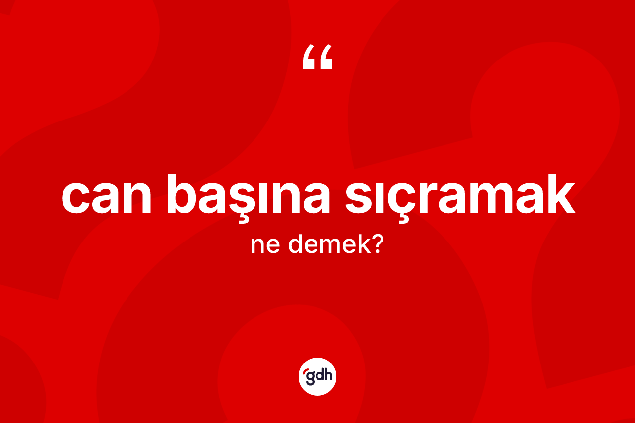 Can başına sıçramak ifadesinin tanımı nedir? Can başına sıçramak sözü hangi durumlarda kullanılır?