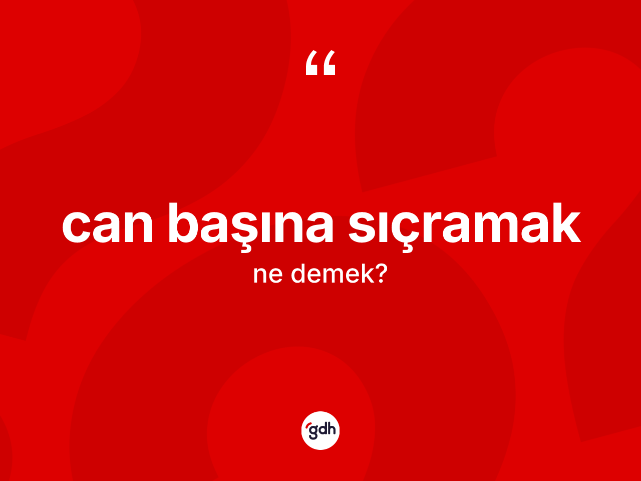 Can başına sıçramak ifadesinin tanımı nedir? Can başına sıçramak sözü hangi durumlarda kullanılır?