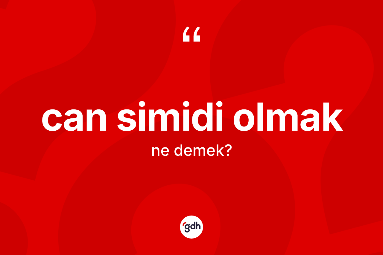Can simidi olmak ifadesi ne demektir? Can simidi olmak sözü hangi durumlarda kullanılır?