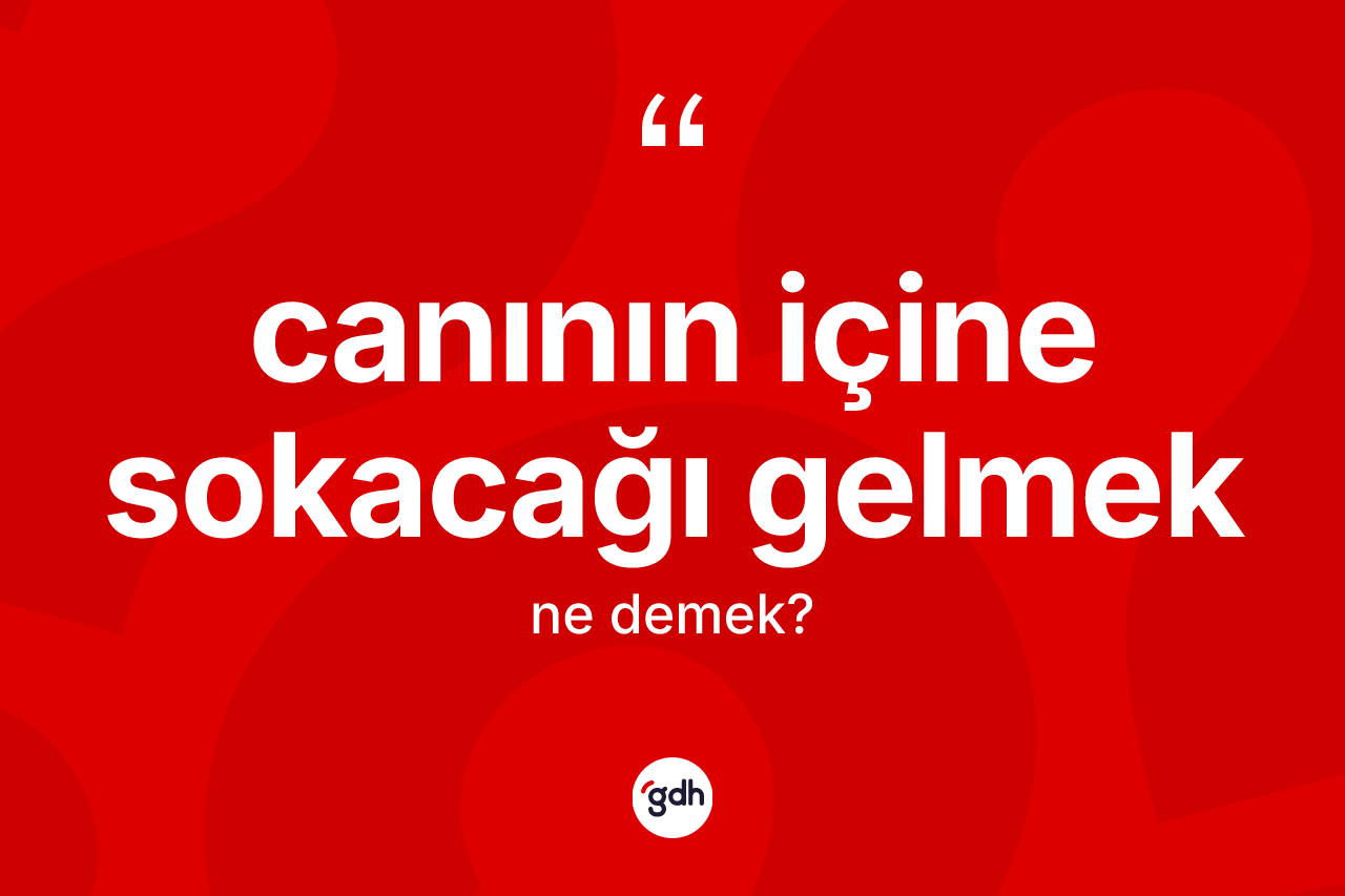 Canının içine sokacağı gelmek ifadesinin sözlükteki anlamı nedir? Canının içine sokacağı gelmek ifadesi hangi durumlarda kullanılır?