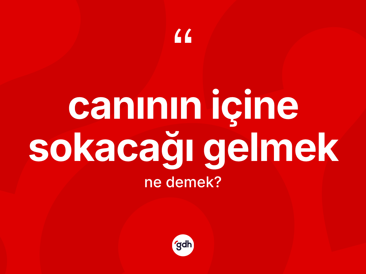 Canının içine sokacağı gelmek ifadesinin sözlükteki anlamı nedir? Canının içine sokacağı gelmek ifadesi hangi durumlarda kullanılır?