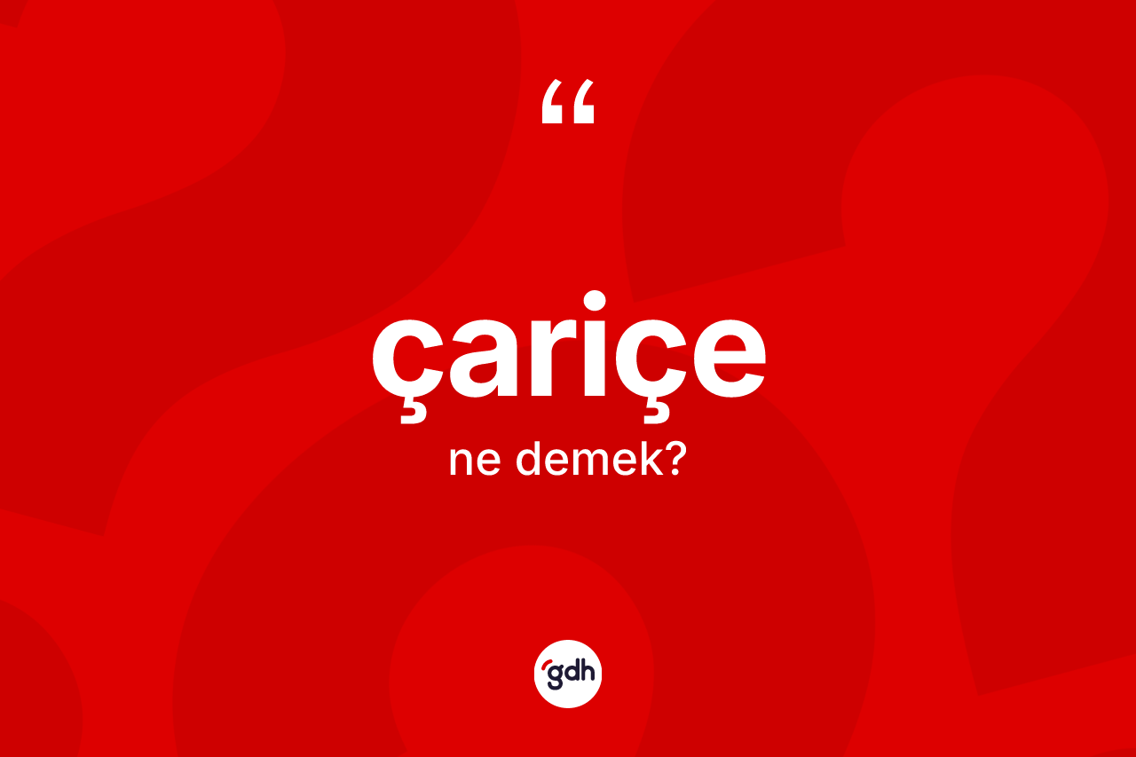 Çariçe kelimesi ne demek? Çariçenin TDK'ya göre anlamı nedir?