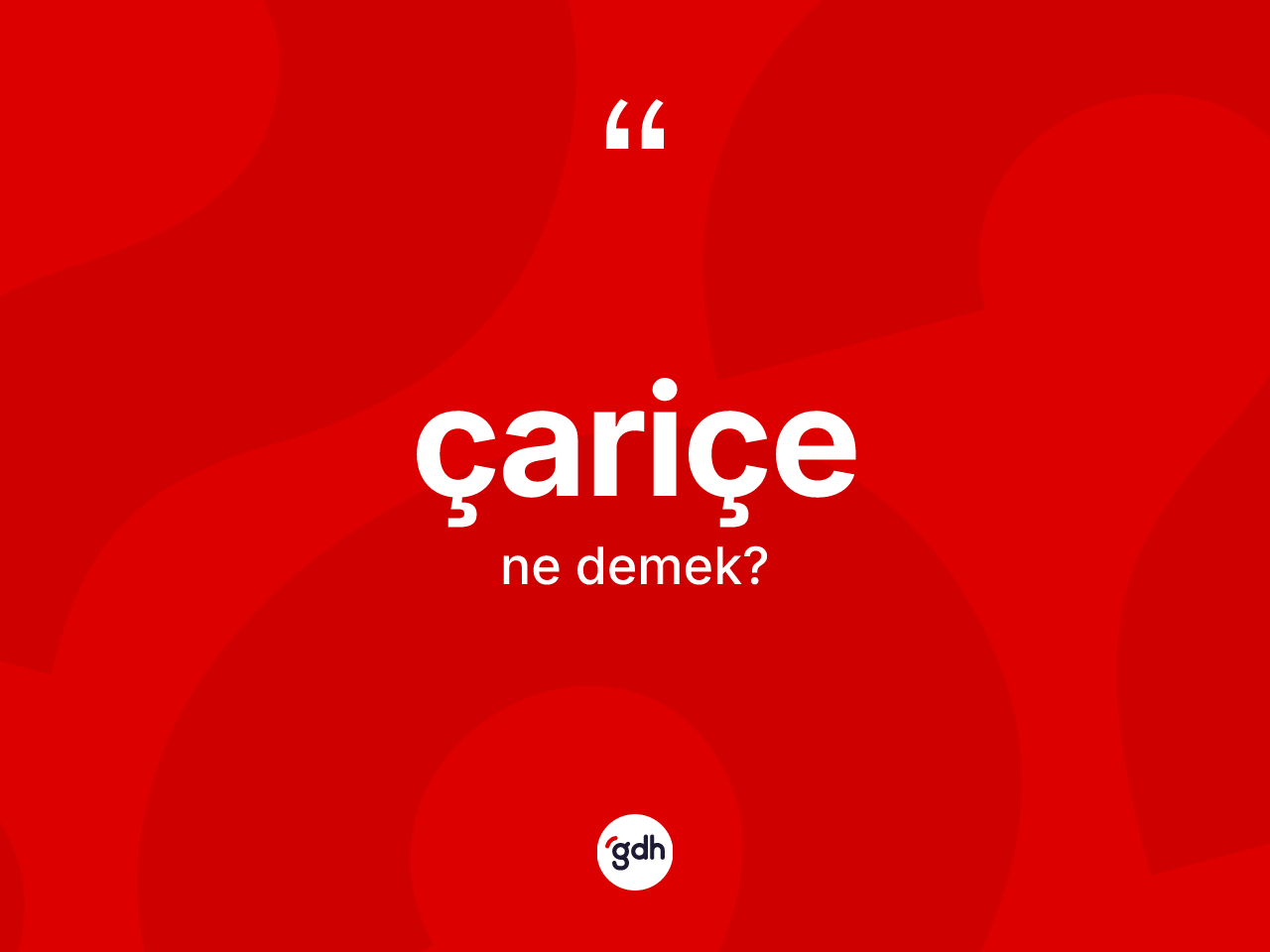 Çariçe kelimesi ne demek? Çariçenin TDK'ya göre anlamı nedir?