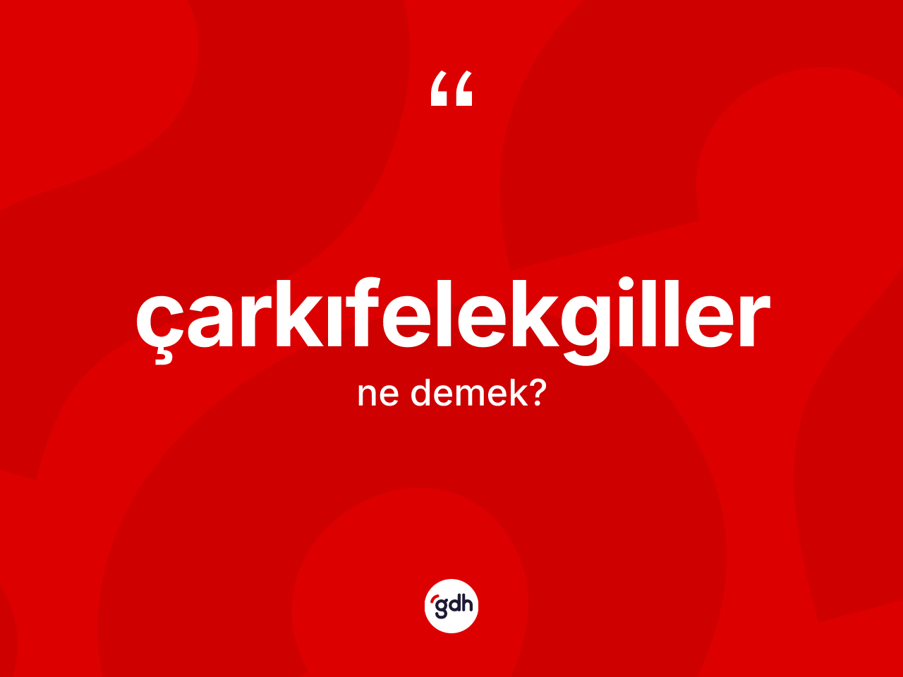 Çarkıfelekgiller ne anlama gelir? Çarkıfelekgillerin sözlükteki anlamı nedir?
