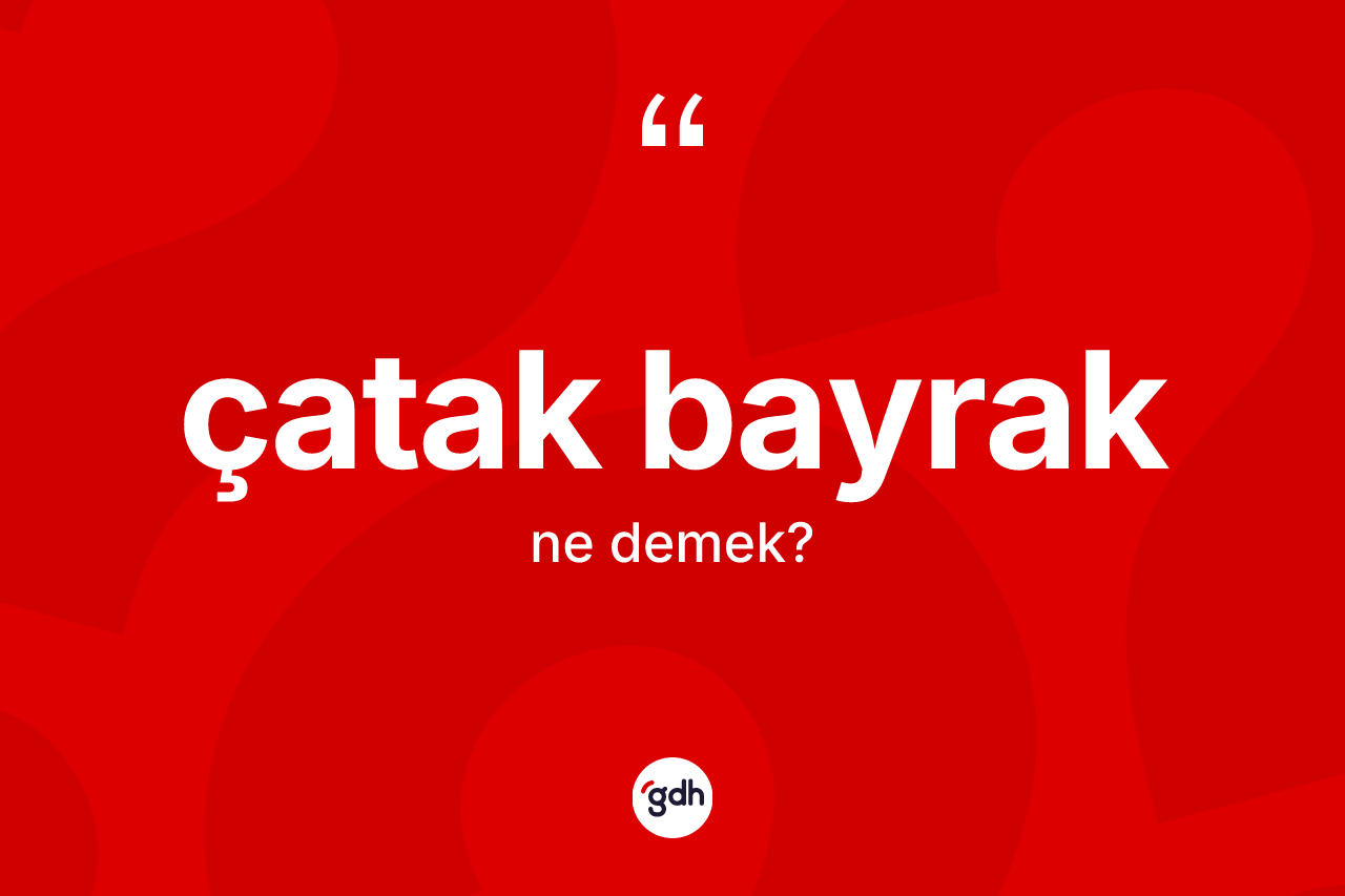 Çatak bayrak kelimesinin anlamı nedir? Çatak bayrak kelimesinin TDK anlamı nedir?