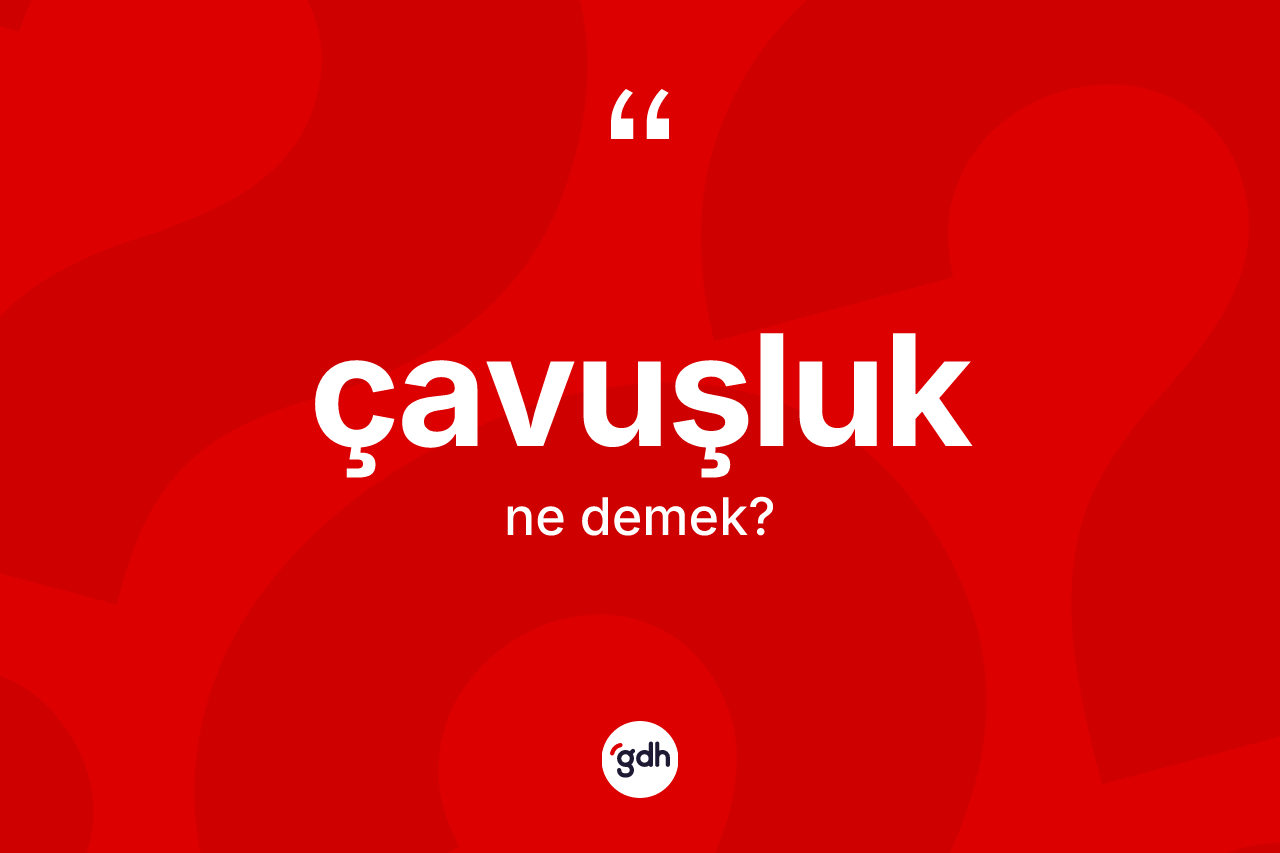 Çavuşluk kelimesinin anlamı nedir? Çavuşluğun TDK'ya göre anlamı nedir?
