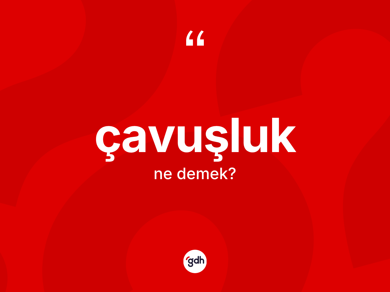 Çavuşluk kelimesinin anlamı nedir? Çavuşluğun TDK'ya göre anlamı nedir?