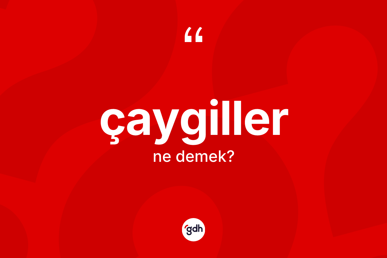 Çaygiller ne anlama gelir? Çaygillerin kısaca tanımı nedir?