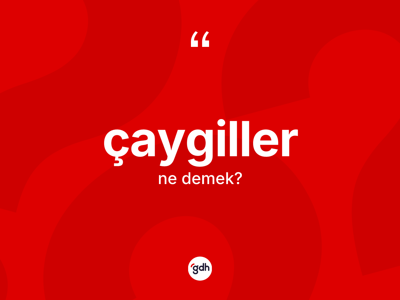 Çaygiller ne anlama gelir? Çaygillerin kısaca tanımı nedir?