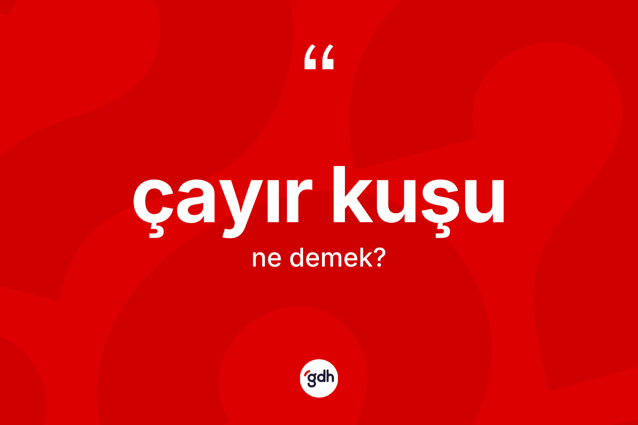 Çayır kuşu nedir? Çayır kuşunun TDK'ya göre anlamı nedir?