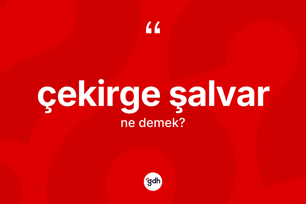 Çekirge şalvar kelimesi ne demek? Çekirge şalvarın TDK'ya göre anlamı nedir?