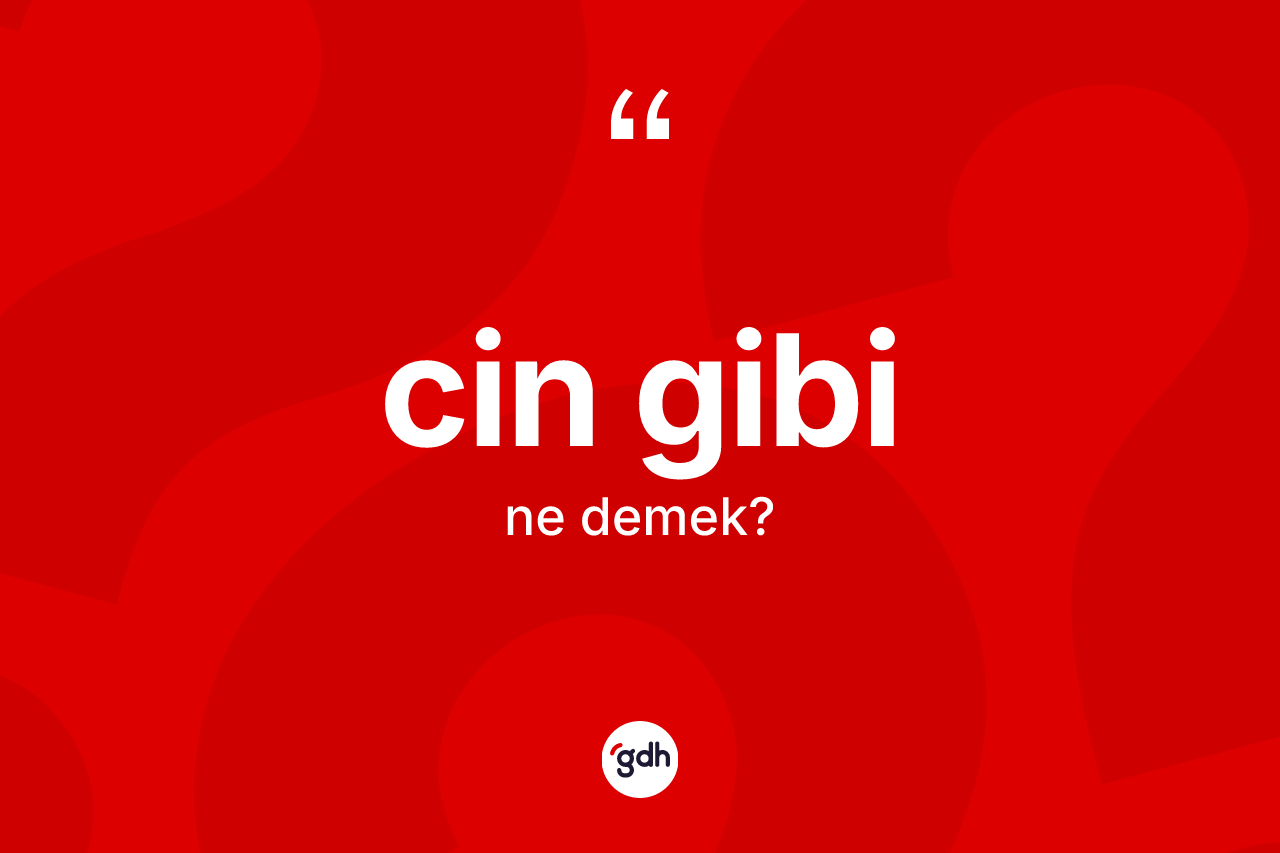 Cin gibi ne anlama gelir? Cin gibi ifadesi nerede kullanılır?