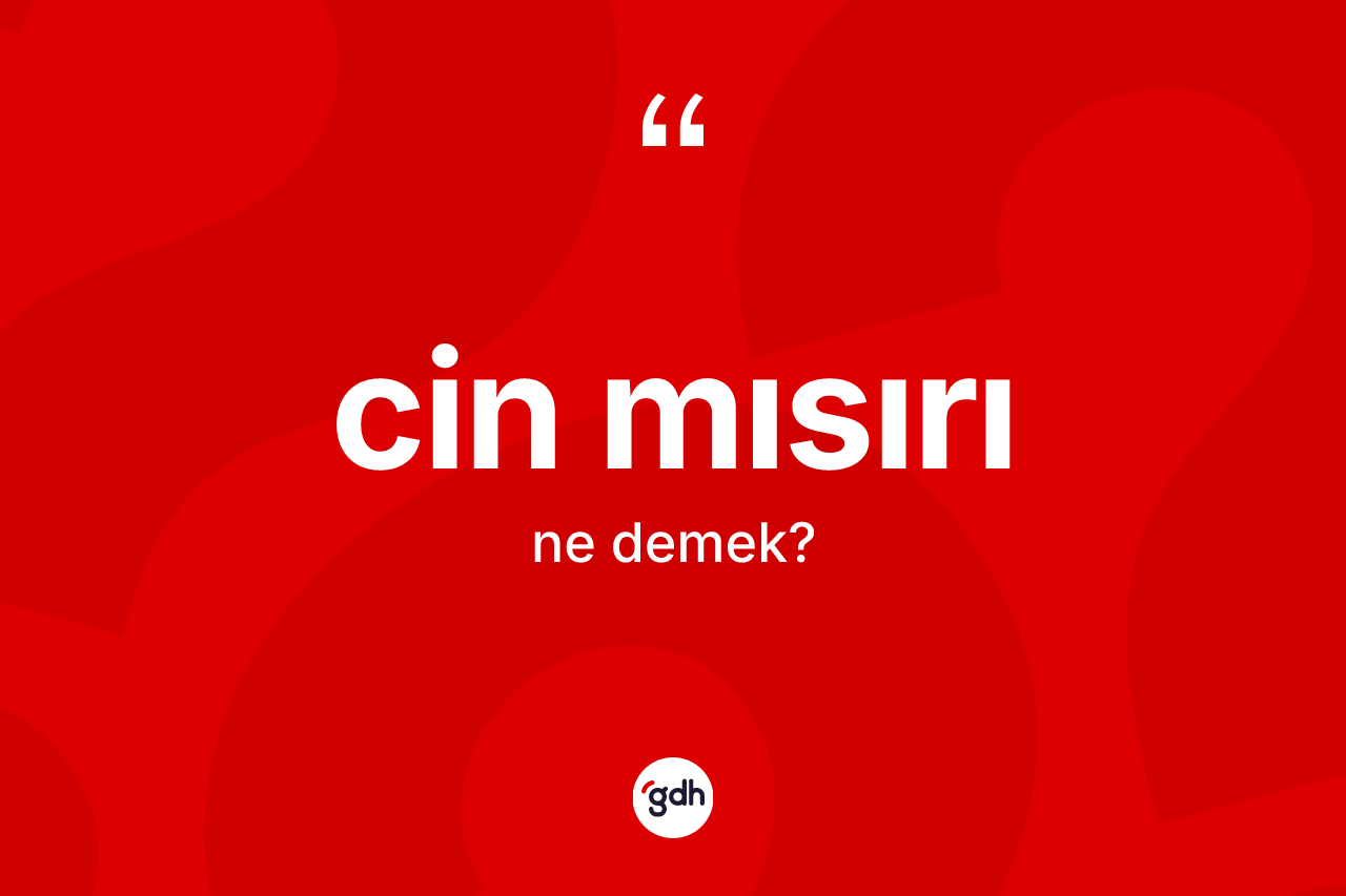 Cin mısırı kelimesi ne demek? Cin mısırı kelimesinin TDK'ya göre açıklaması nedir?