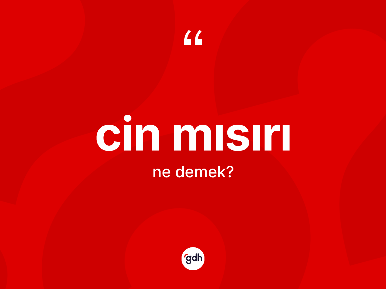 Cin mısırı kelimesi ne demek? Cin mısırı kelimesinin TDK'ya göre açıklaması nedir?