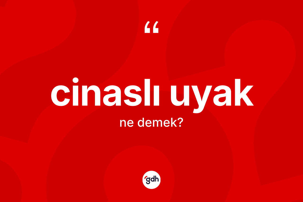 Cinaslı uyak ne demek? Cinaslı uyağın halk arasındaki kullanımı nasıldır?