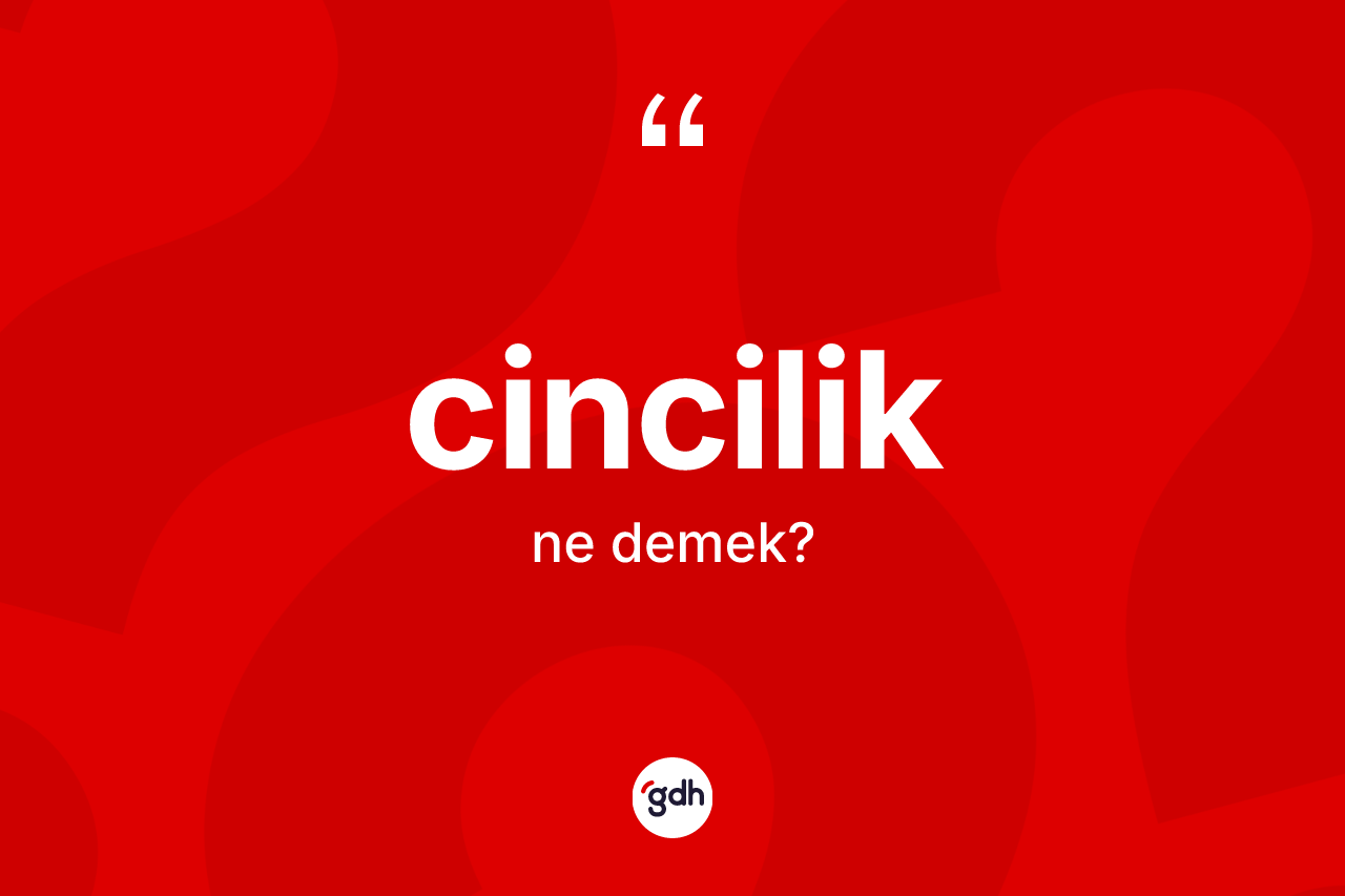 Cincilik kelimesi ne demek? Cinciliğin halk arasındaki kullanımı nasıldır?