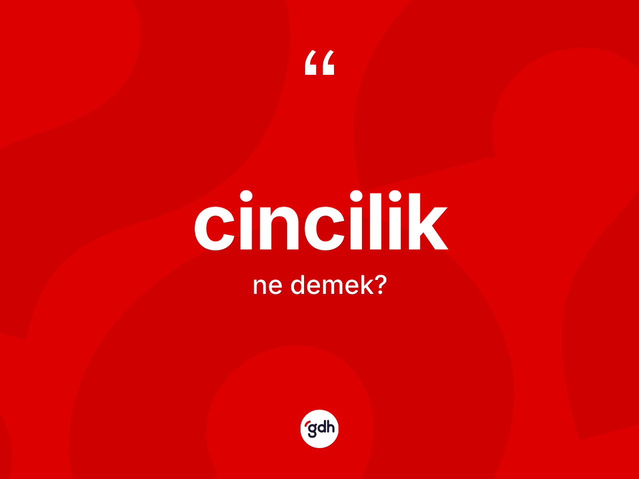 Cincilik kelimesi ne demek? Cinciliğin halk arasındaki kullanımı nasıldır?