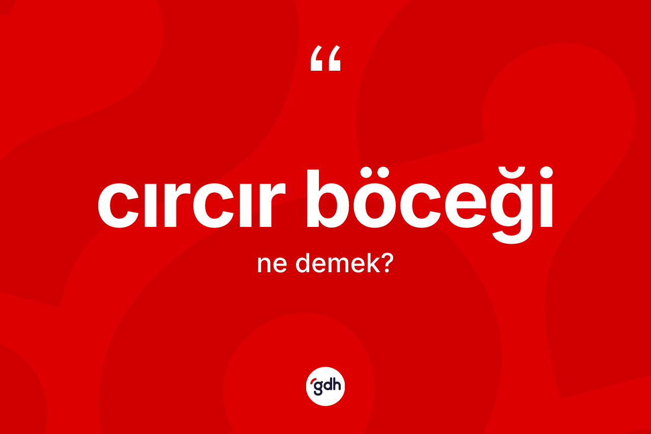 Cırcır böceği kelimesi ne demek? Cırcır böceği kelimesinin TDK'ya göre açıklaması nedir?