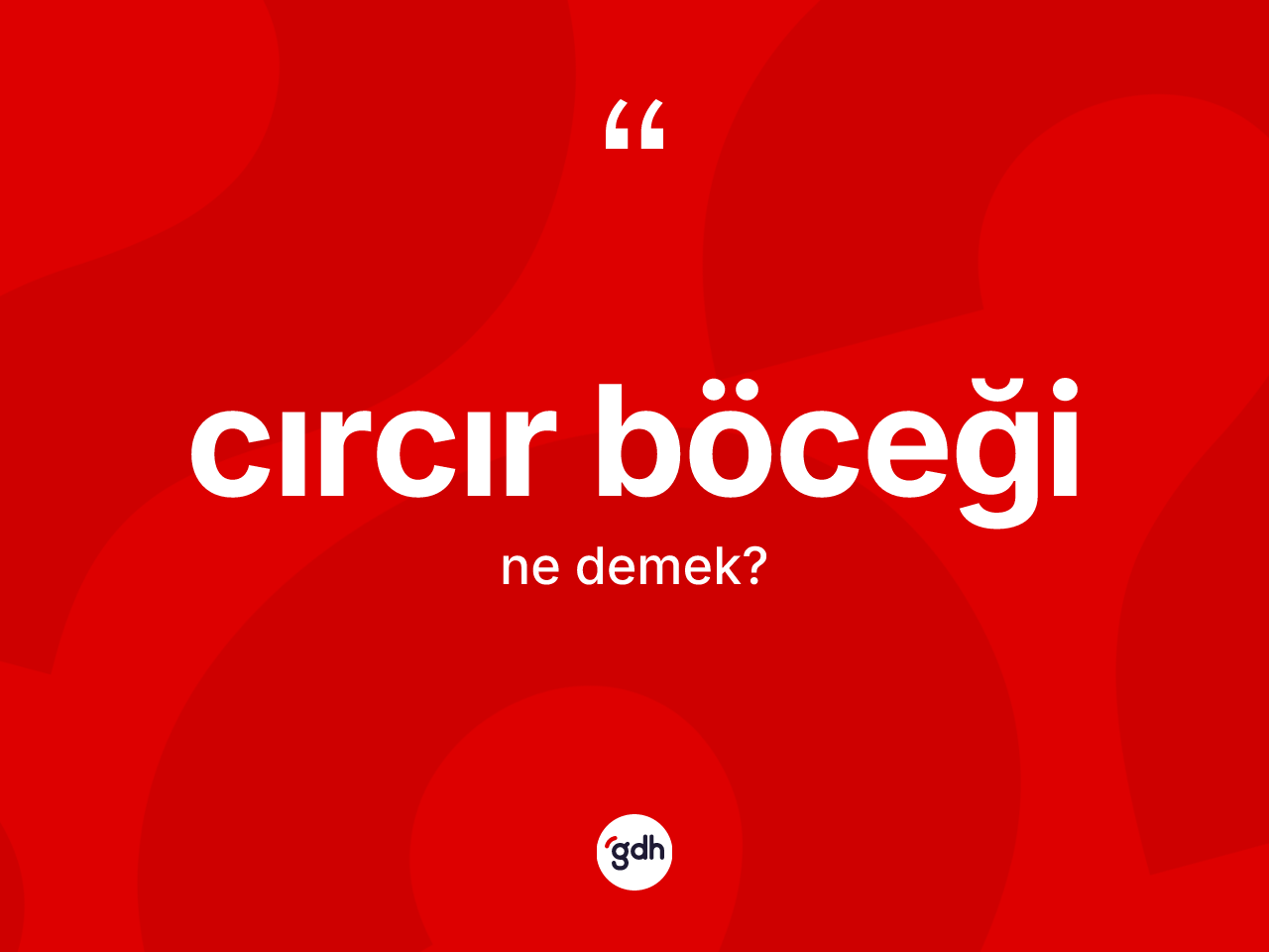 Cırcır böceği kelimesi ne demek? Cırcır böceği kelimesinin TDK'ya göre açıklaması nedir?
