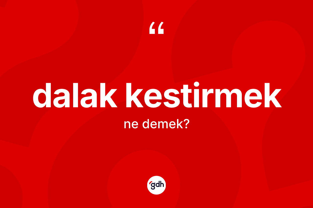 Dalak kestirmek ifadesinin kısaca tanımı nedir? Dalak kestirmek ifadesinin TDK'ya göre anlamı nedir?