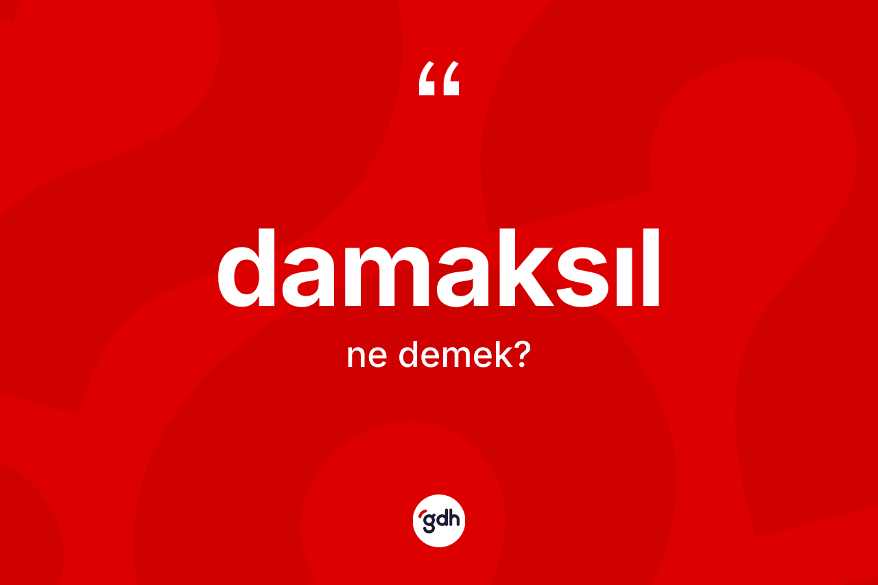 Damaksıl ne anlama gelir? Damaksıl kelimesinin kaç farklı anlamı var?