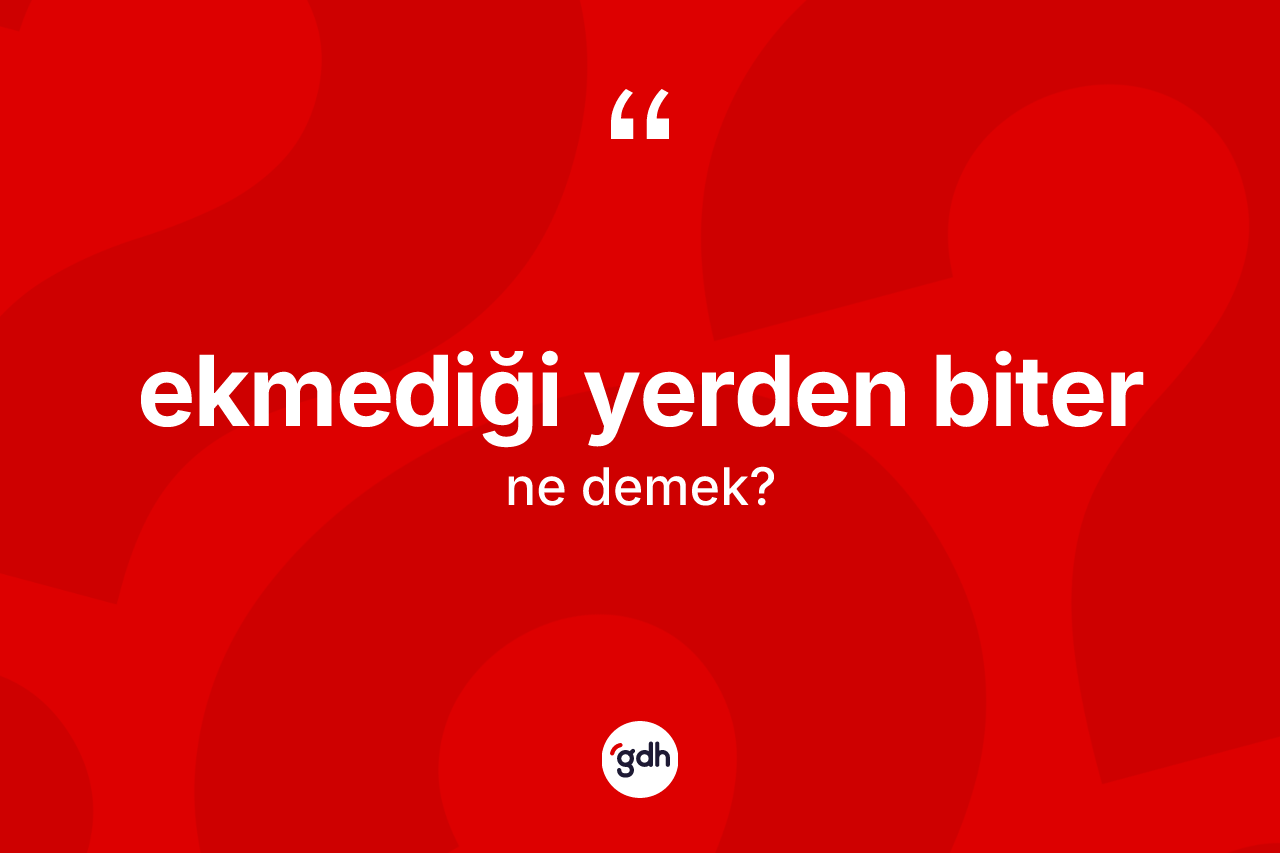 Ekmediği yerden biter ifadesi ne demektir? Ekmediği yerden biter ifadesi nerede kullanılır?
