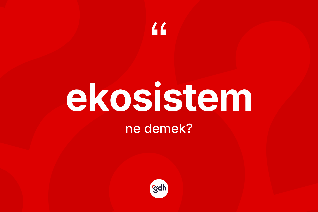 Ekosistem nedir? Ekosistemin halk arasındaki kullanımı nasıldır?