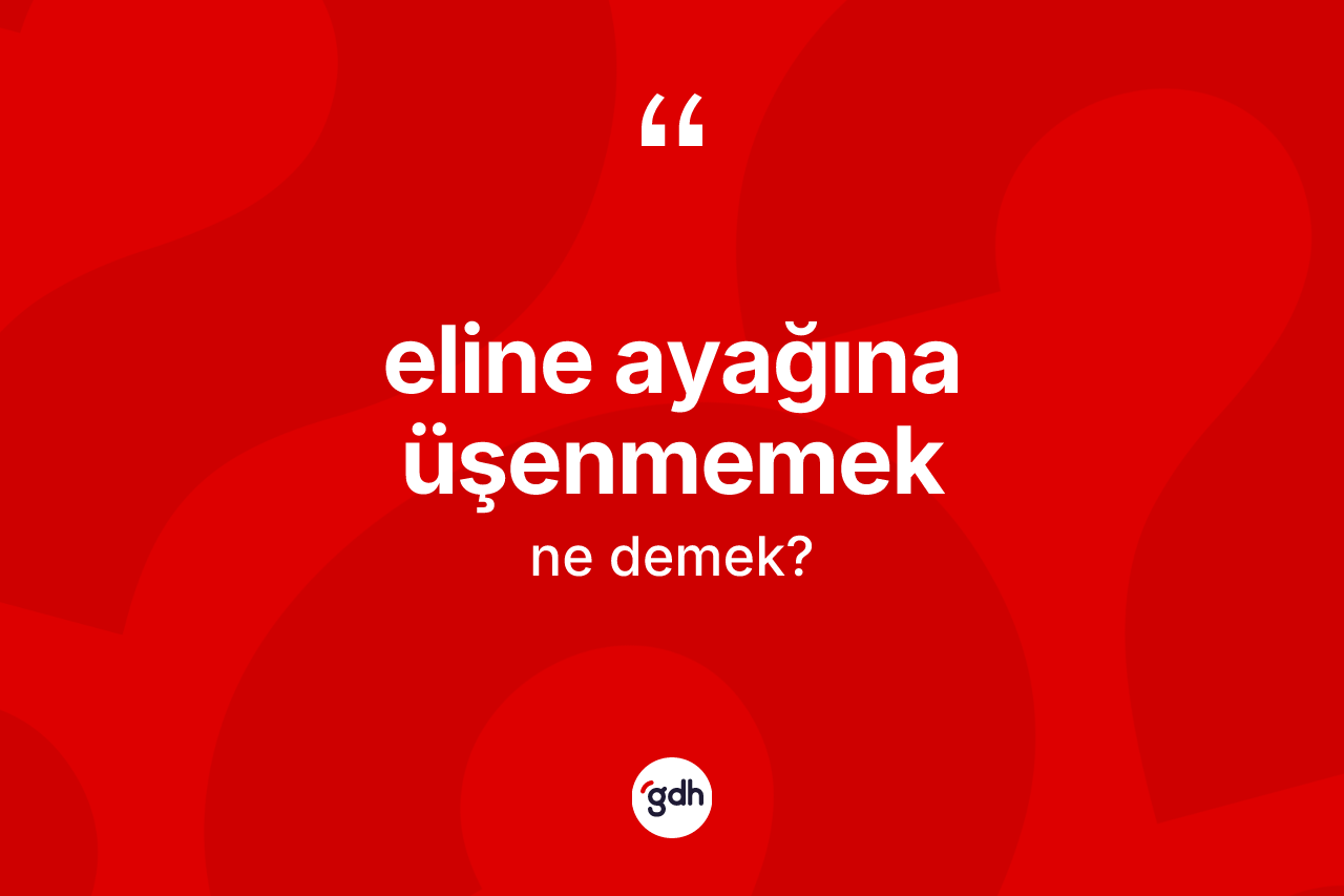 Eline ayağına üşenmemek ifadesinin tanımı nedir? Eline ayağına üşenmemek ifadesinin TDK anlamı nedir?