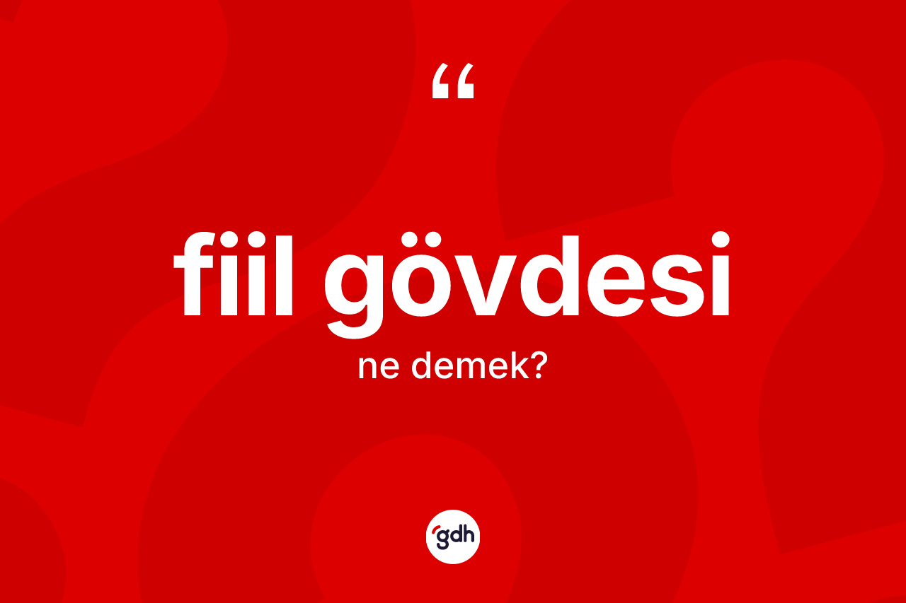 Fiil gövdesi ne anlama gelir? Fiil gövdesi kelimesinin TDK'ya göre açıklaması nedir?