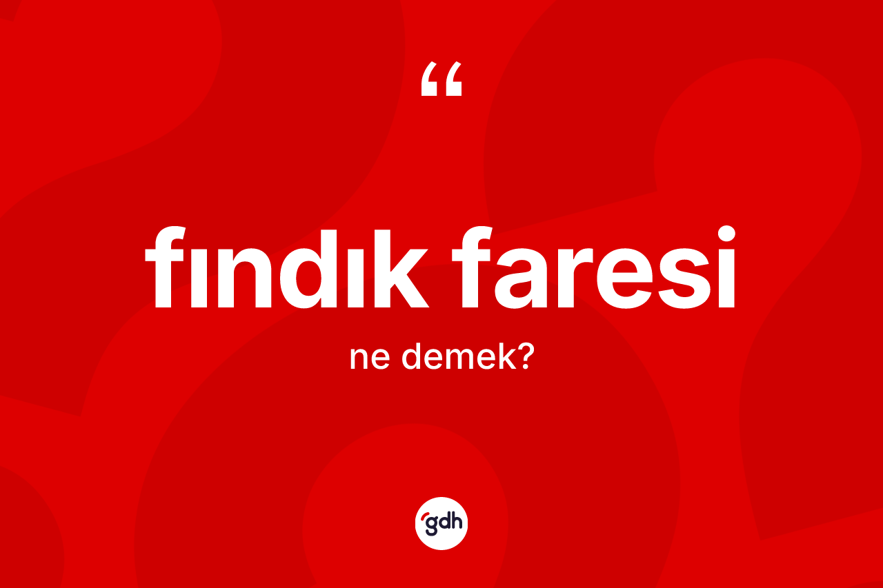 Fındık faresi ne demek? Fındık faresinin halk arasındaki kullanımı nasıldır?