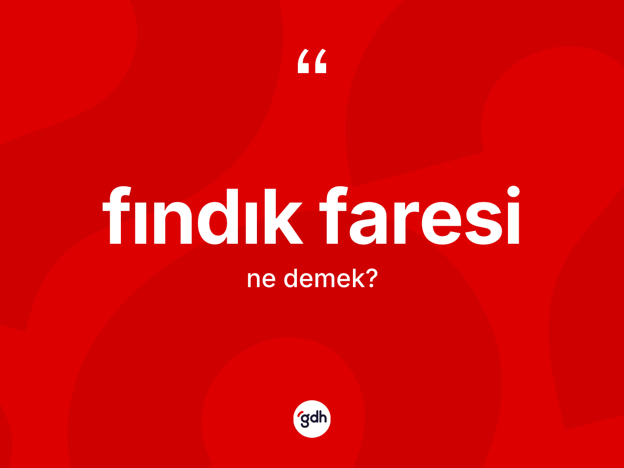 Fındık faresi ne demek? Fındık faresinin halk arasındaki kullanımı nasıldır?