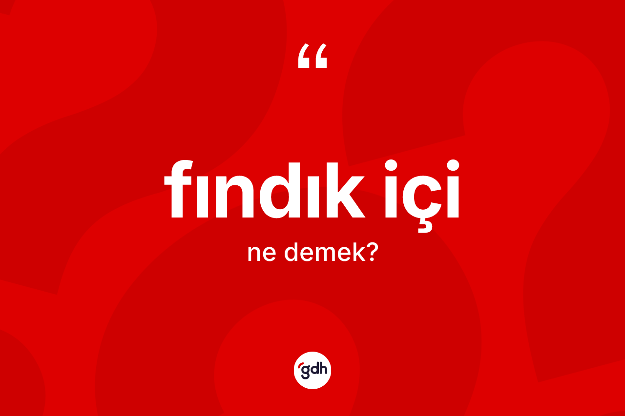 Fındık içi kelimesinin tanımı nedir? Fındık içi kelimesinin TDK'ya göre açıklaması nedir?