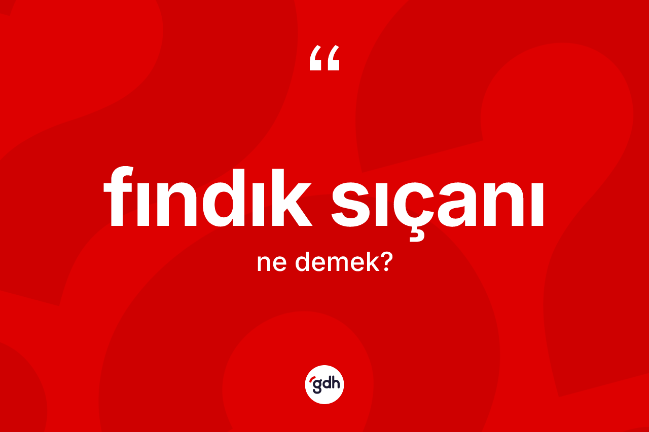 Fındık sıçanı kelimesi ne anlama gelir? Fındık sıçanının halk arasındaki kullanımı nasıldır?