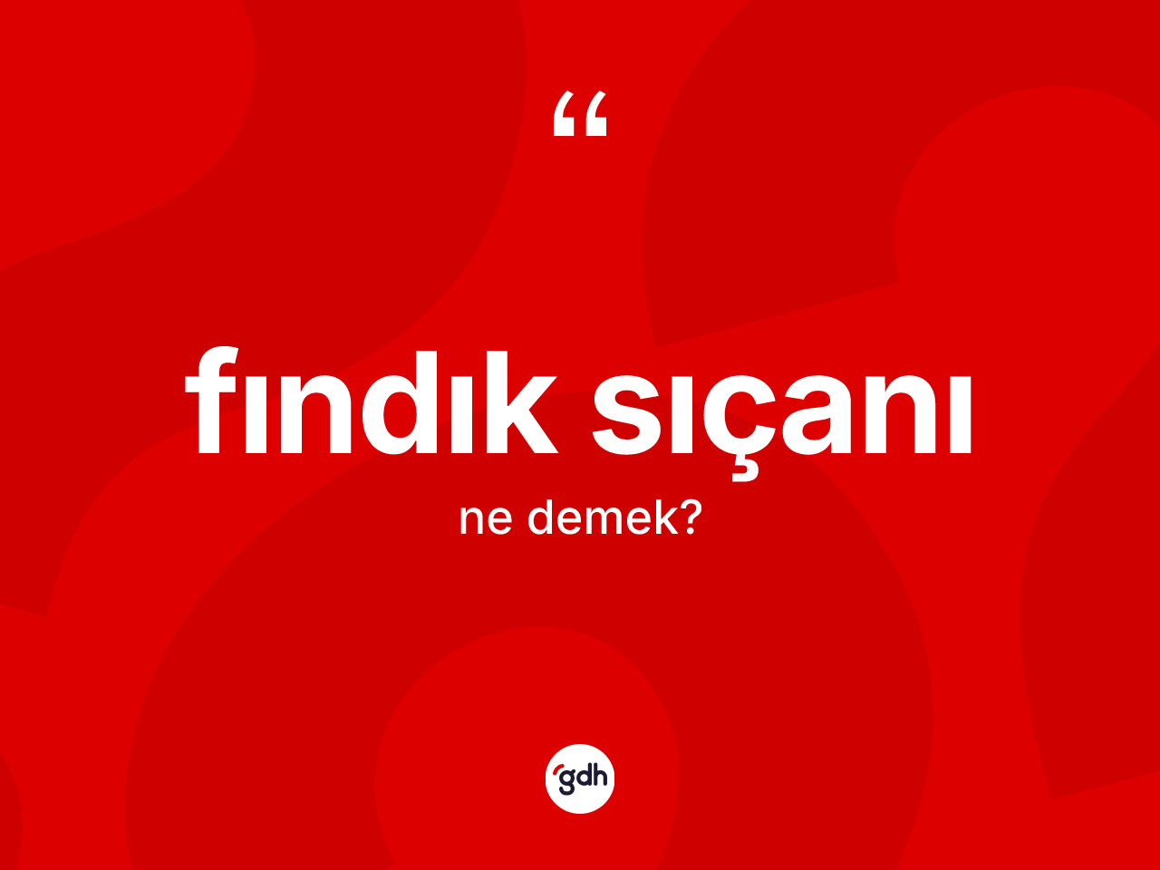 Fındık sıçanı kelimesi ne anlama gelir? Fındık sıçanının halk arasındaki kullanımı nasıldır?