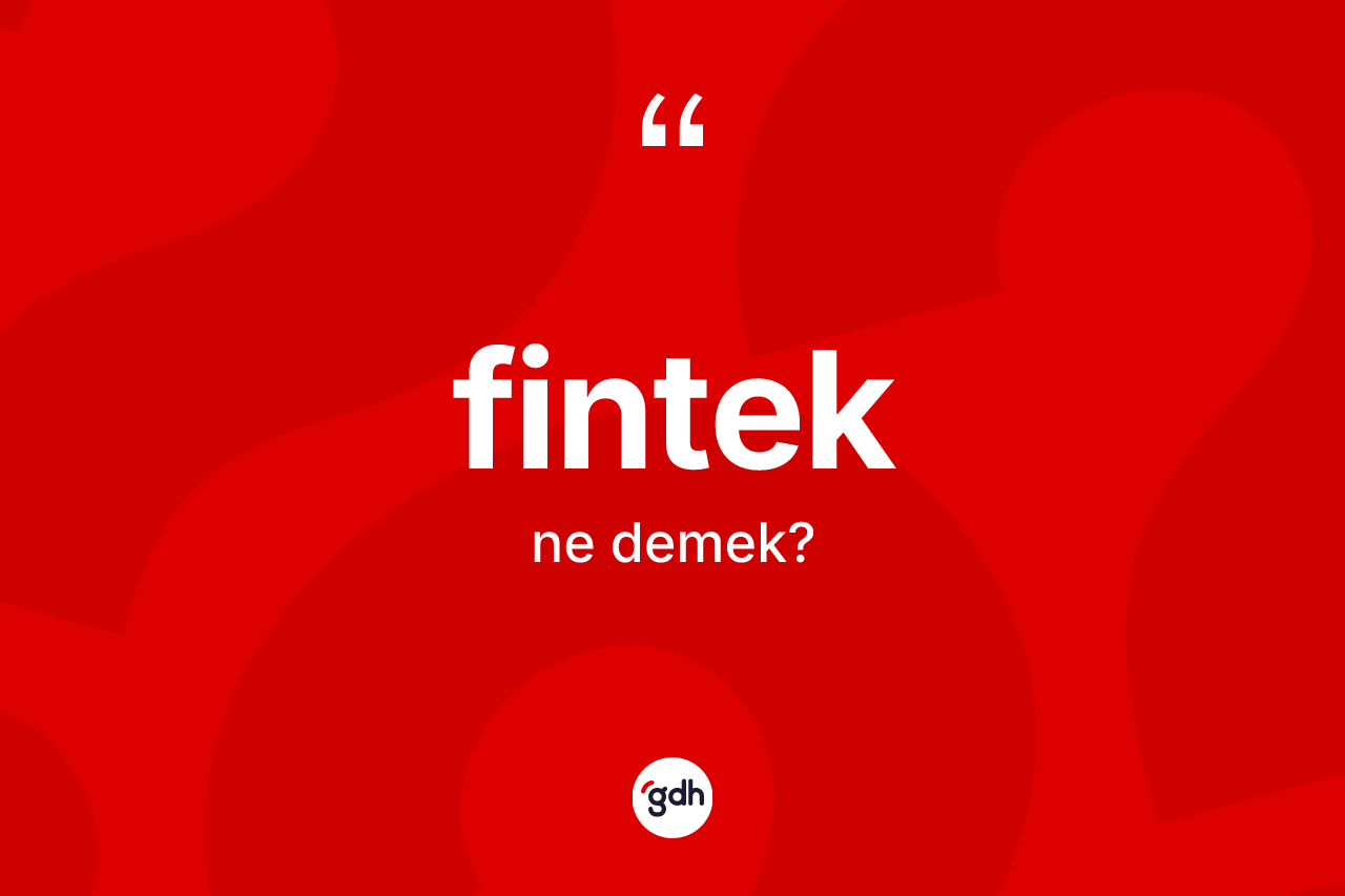 Fintek kelimesinin sözlükteki tanımı nedir? Finteğin TDK'ya göre anlamı nedir?