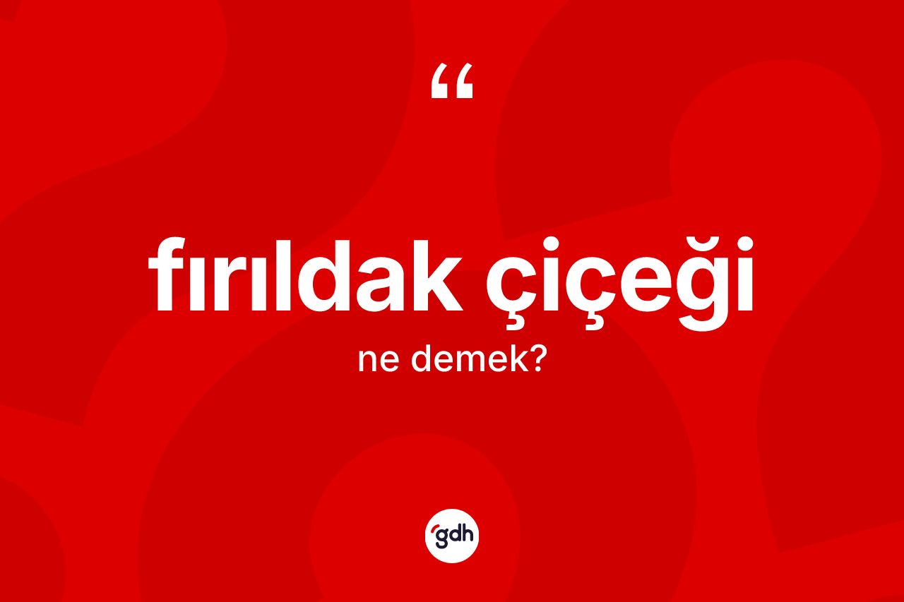 Fırıldak çiçeği kelimesi ne demek? Fırıldak çiçeği kelimesinin özellikleri nelerdir?