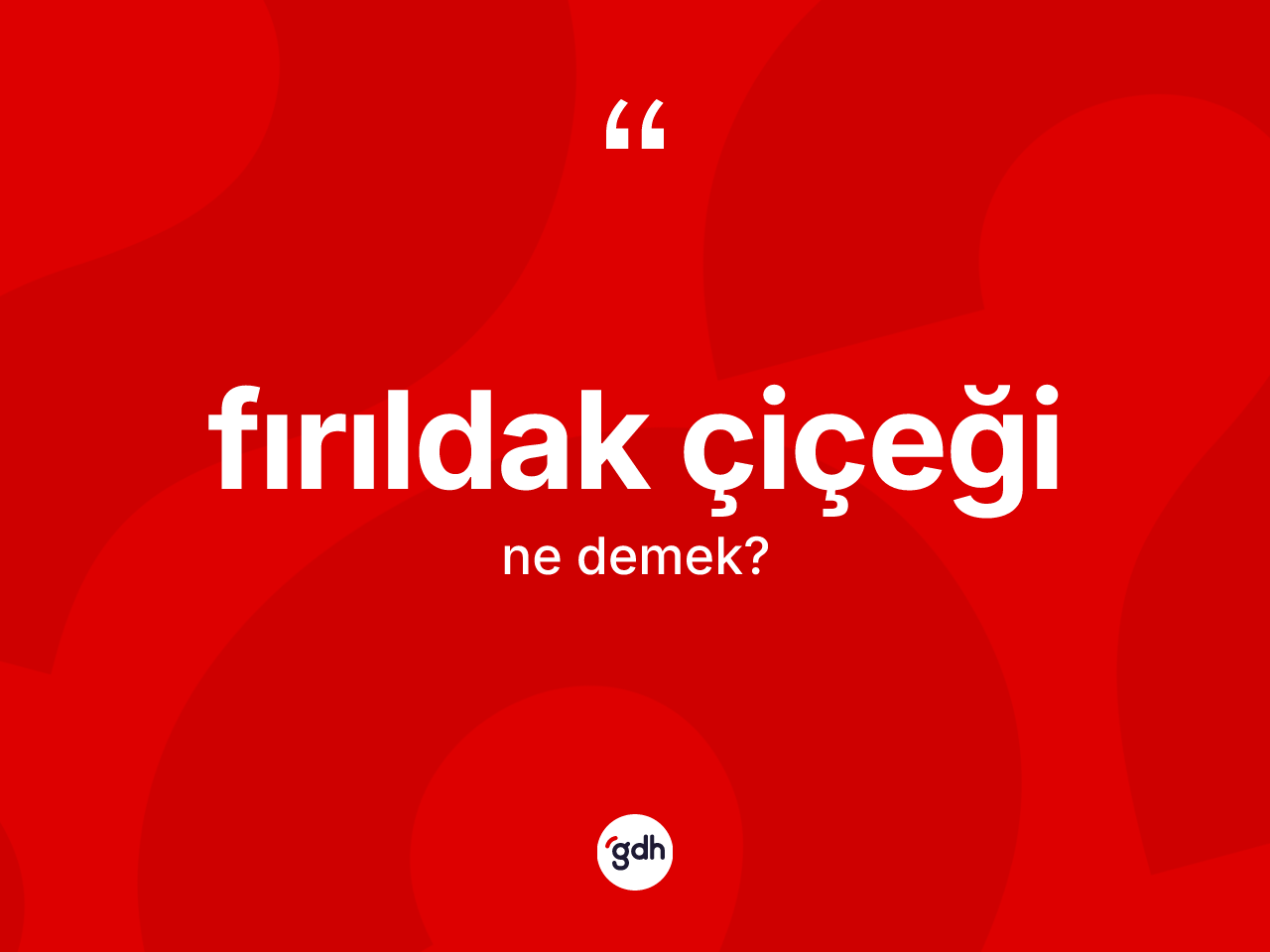 Fırıldak çiçeği kelimesi ne demek? Fırıldak çiçeği kelimesinin özellikleri nelerdir?